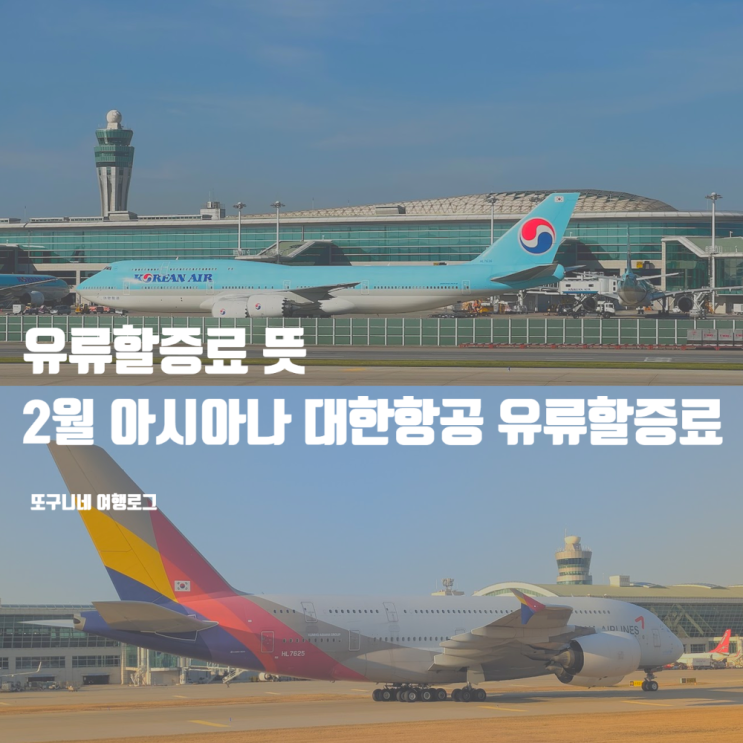  유류할증료 뜻 & 2월 대한항공 아시아나 비행기 유류할증료