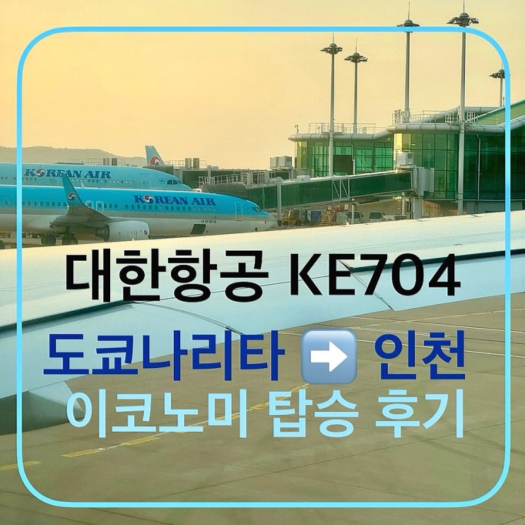대한항공 KE704 B787-10 도쿄 나리타 인천 이코노미 좌석 지정 간격 기내식 체크인 카운터 탑승 후기