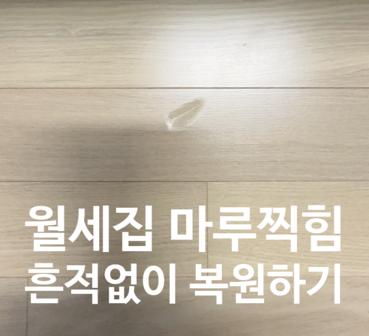  월세집 마루찍힘 흔적없이 복원하기