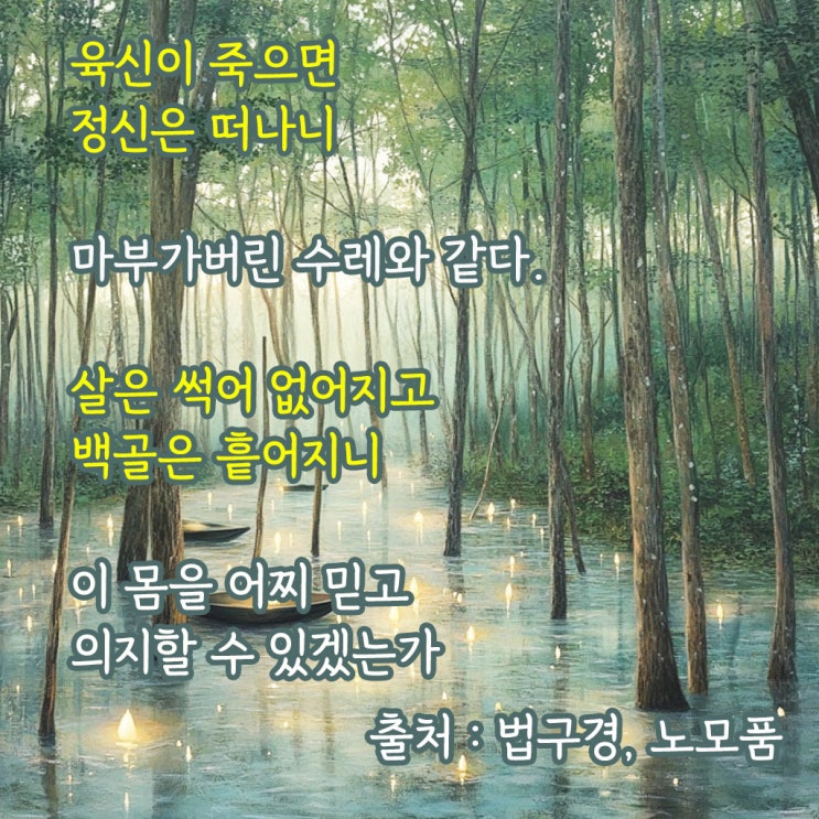  법구경 노모품 구절을 통해 생각해보는 삶의 의미
