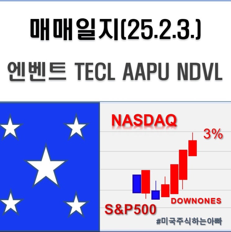  미국주식 매매일지(25.2.3.) 엔벤트일렉트릭 TECL AAPU NDVL