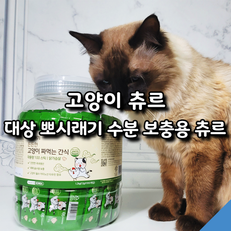  뽀시래기 고양이츄르 100스틱! 수분 보충에 딱 좋은 간식 추천