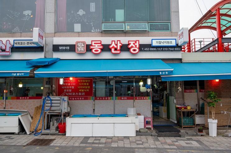  무안낙지골목 45년 전통의 맛! 목포낙지맛집 동산정낙지며느리