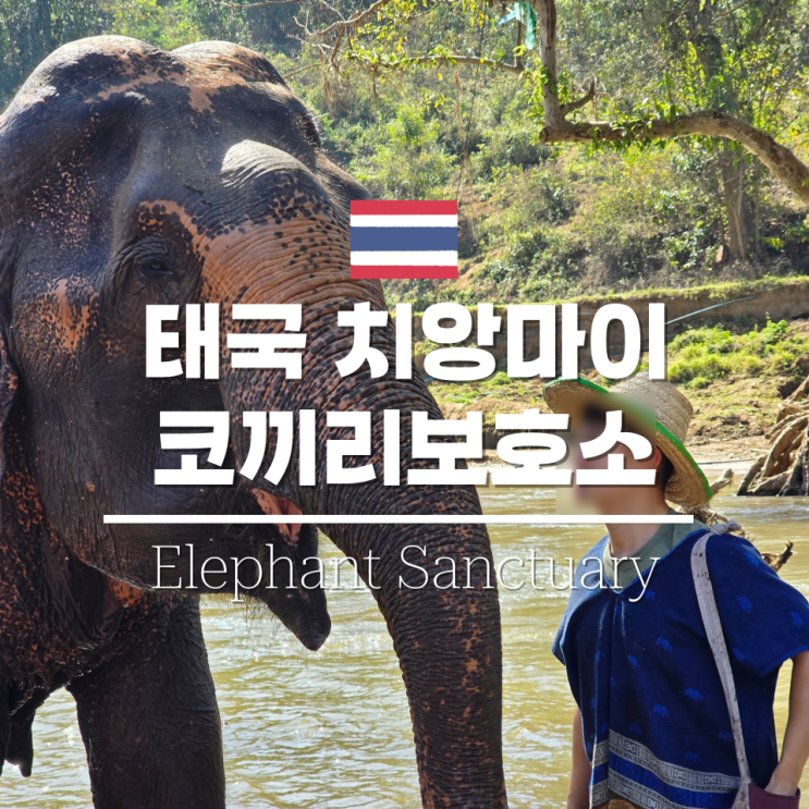  치앙마이 코끼리보호소 일일투어 추천 코끼리투어 생츄어리 조이너스타이