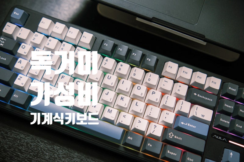 게임 안하는 내가 기계식 키보드 쓰는 이유 (feat. AULA F87Pro 독거미 유무선 한글 회목축 타건....