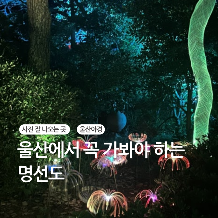 울산 여행 추천 야경명소 명선도