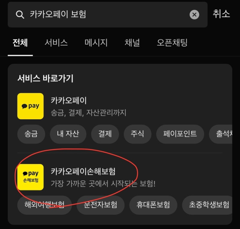 카카오 휴대폰 보험 가입후기 애플케어플러스 비교 장단점 카카오페이 손해보험 아이폰 16 pr....