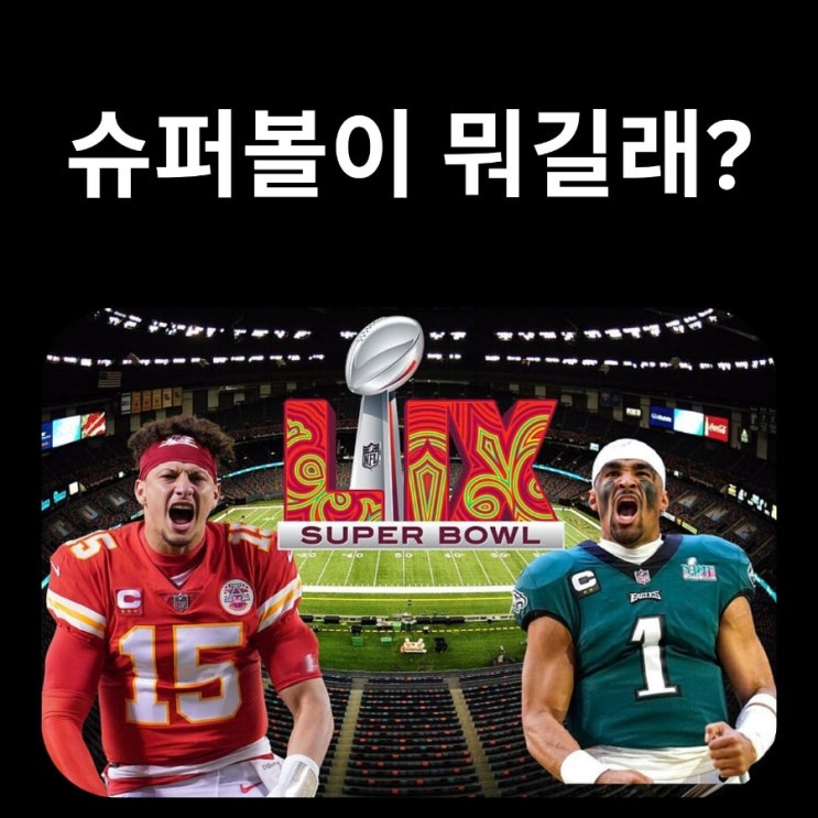  슈퍼볼이 대체 뭐길래