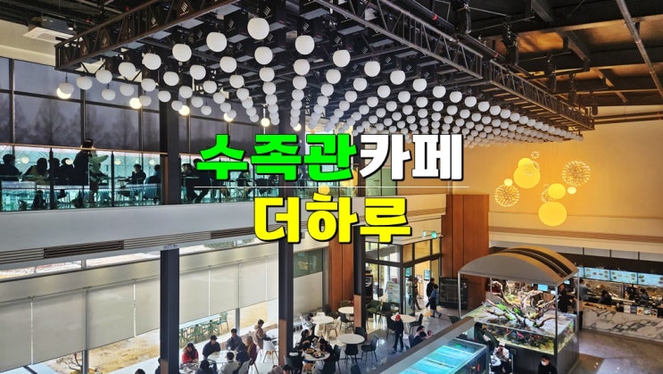  담양 핫플 아이랑함께 가볼만한곳 · 카페 더하루 (대형 수족관 & 조명쇼 맛집)