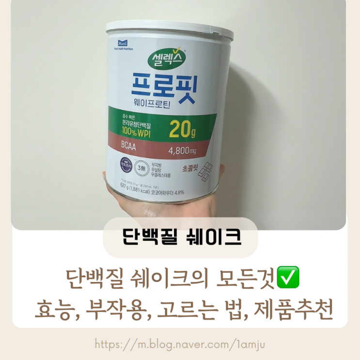  단백질 쉐이크 효능, 부작용, 먹는 법, 추천 제품