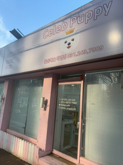 사진 3
