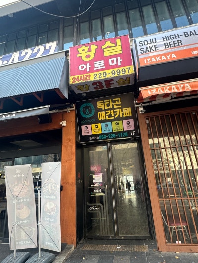 사진 4