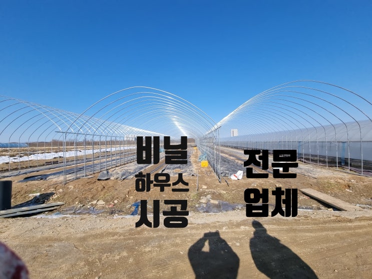  시설 비닐하우스 시공업체 맞꼬지 연동 설치 방법