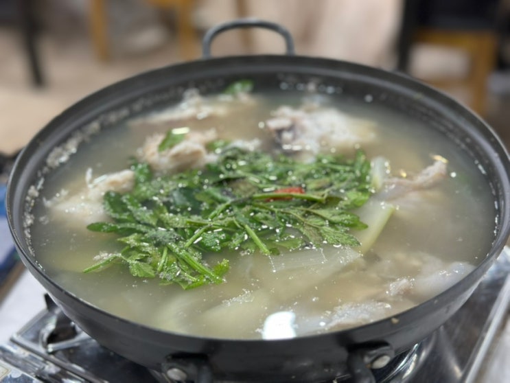  속초항찜 뜨끈한 속초 물곰탕 맛집 내돈내산
