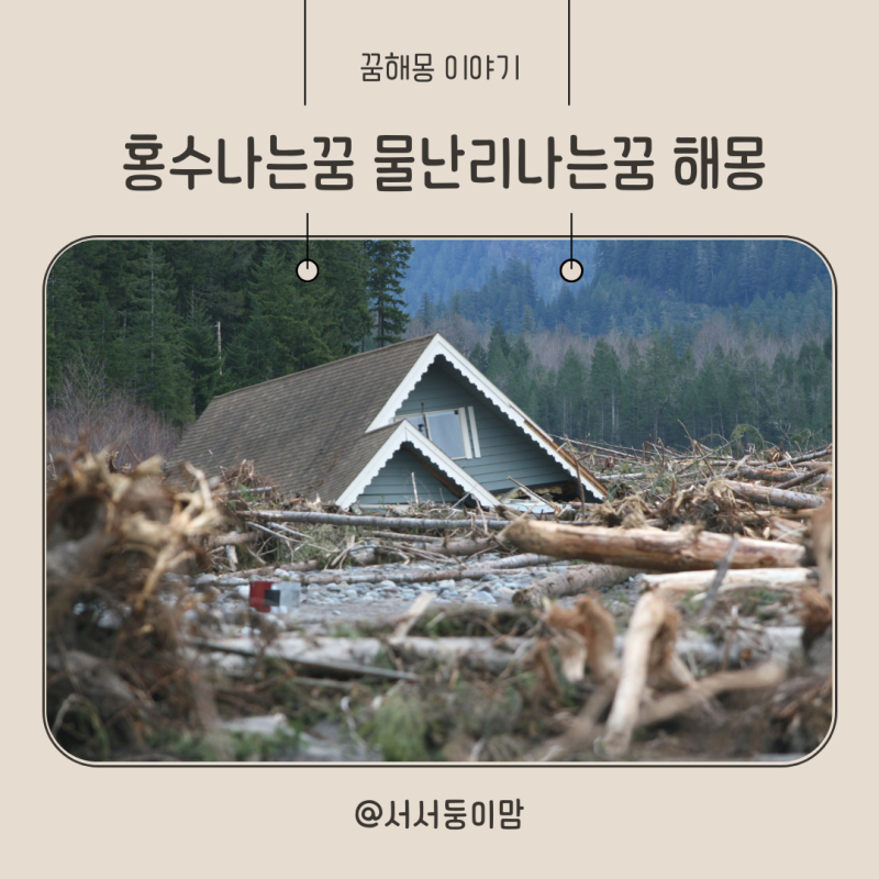 집에 홍수나는꿈 물난리 나는꿈 다양한 홍수가 나는꿈 해몽