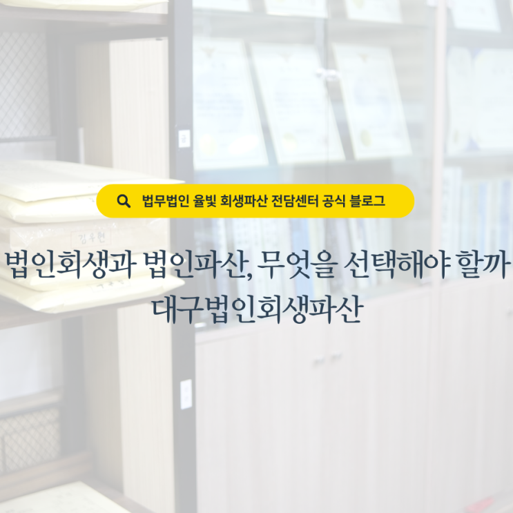 법인회생과 법인파산, 무엇을 선택해야 할까 대구법인회생파산