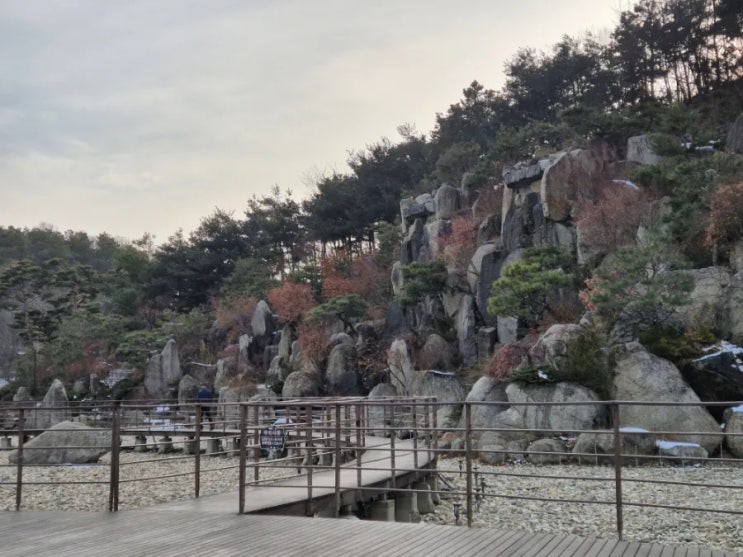 25년 2월 안산 노적봉 산책