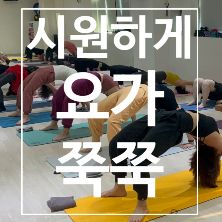  [탄현헬스] 요가 시원하게 쭉쭉