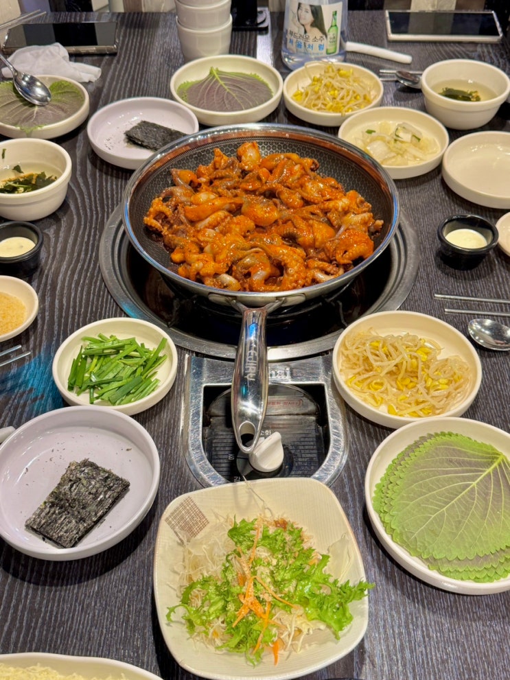  마곡코엑스맛집 눈꽃치즈 듬뿍 쭈꾸미 볶음 송쭈집 마곡