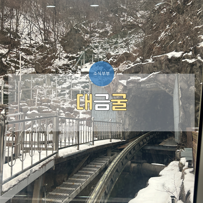  [삼척] 자연의 신비가 느껴지는 대금굴, 예약방법, 환선굴과 비교