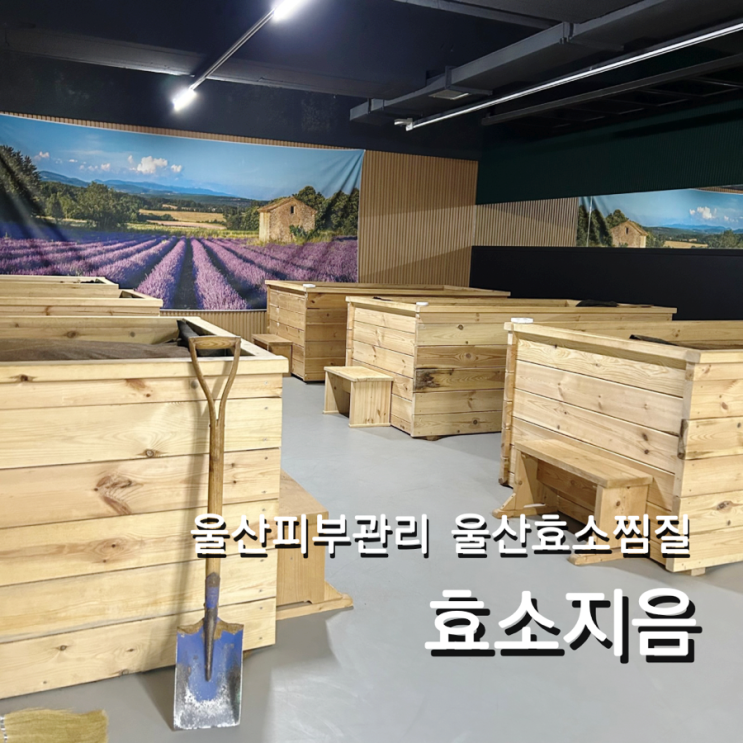  울산효소찜질 효소지음 신정동피부관리 추천
