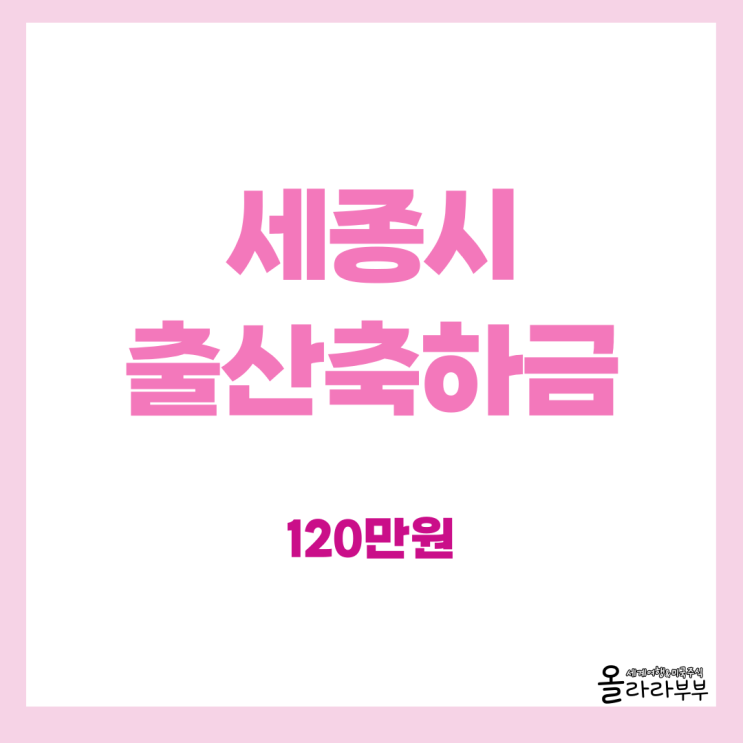 세종 출산지원금 축하금 신청방법 지원내용 대상