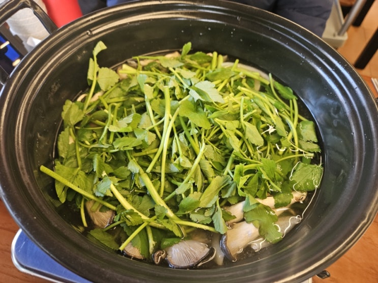  합정역 인근 미나리 샤브샤브 맛집, 합정동 청도 미나리식당