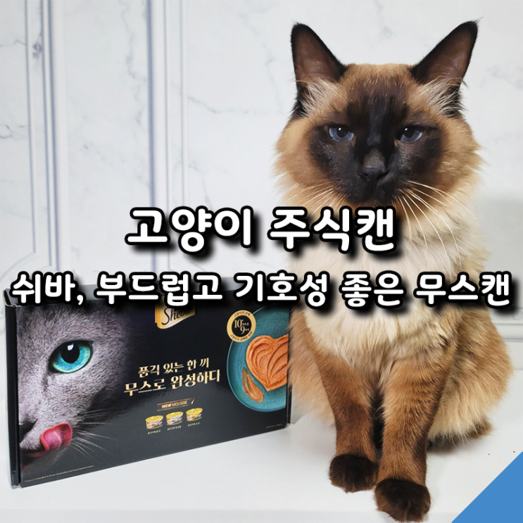  쉬바 신제품, 부드럽고 기호성 좋은 고양이주식캔 3종 추천