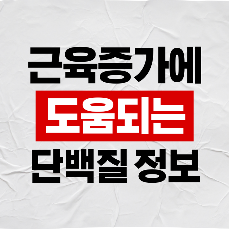  근육증가에 도움되는 단백질 3가지