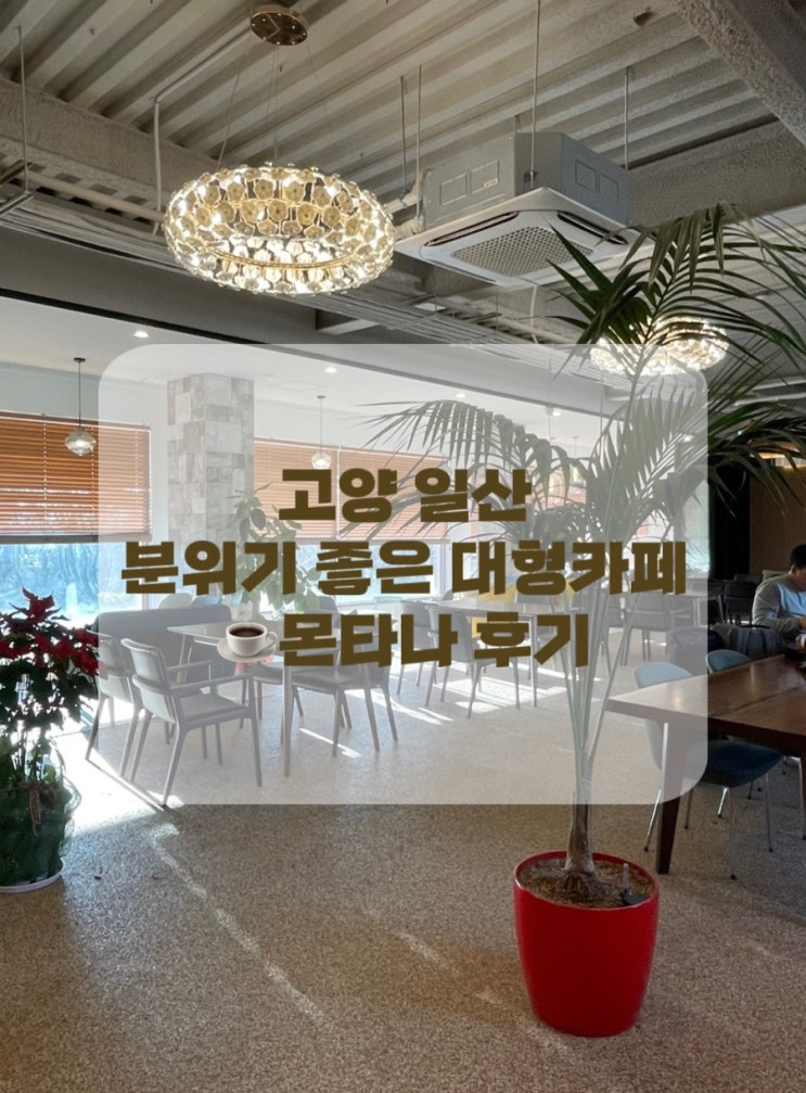  [고양 일산] 서울 근교 일산 대형카페 몬타나 후기 베이커리 카페 추천