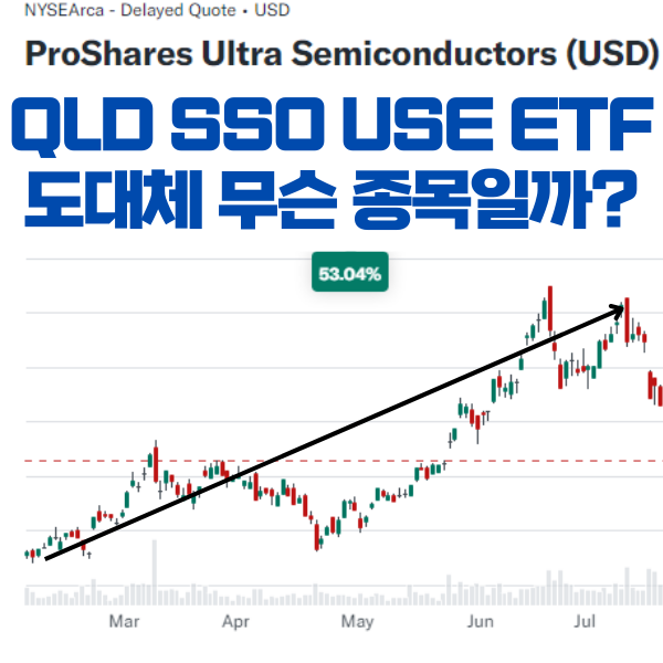 QLD SSO USD ETF 도대체 무슨 종목일까?