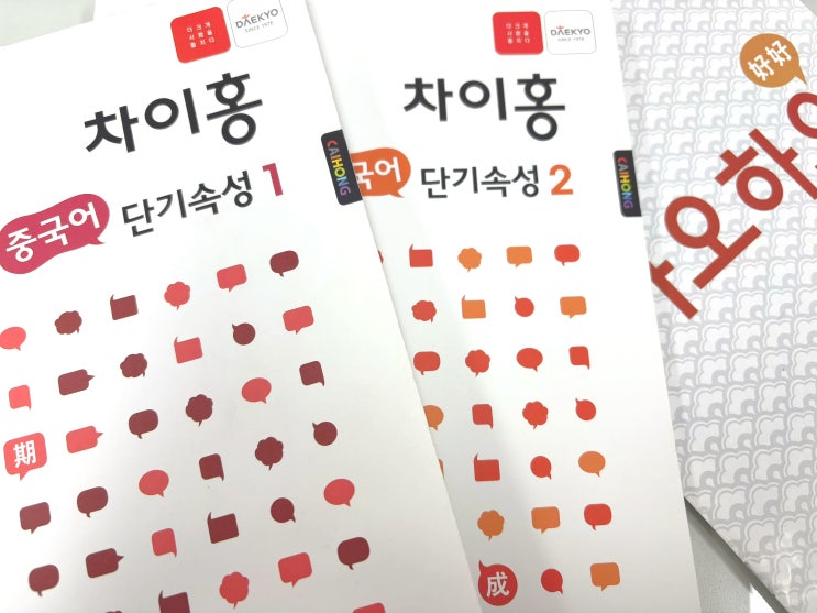  왕초보 중국어 도전: 중국어 학원 대교 '차이홍' 가격 장단점 학습 후기