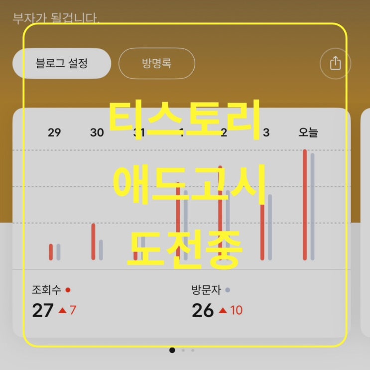  [일상] 티스토리 애드센스 도전중