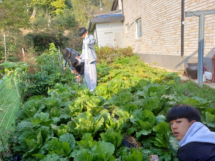 선화네푸소 사진 1