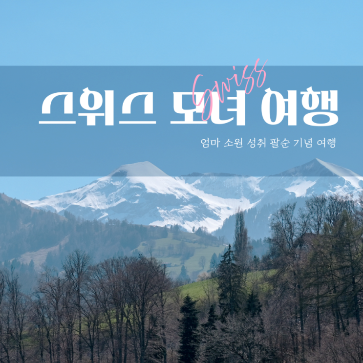  스위스 6박 8일 여행 일정 숙소 추천 취리히 인터라켄 루체른 호텔과 액티비티 예약 정보