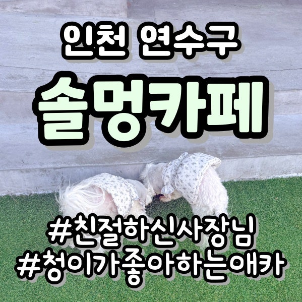 사진 8