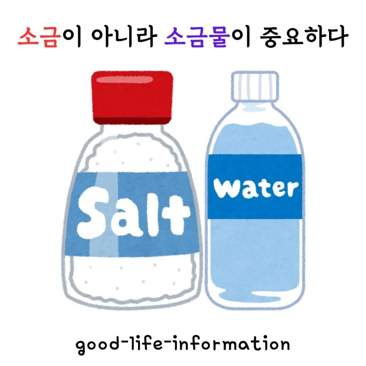 소금이 아니라 소금물이 중요하다? 건강한 나트륨 섭취 가이드 소금이 아니라 소금물이 중요하다? 건강한 나트륨 섭취 가이드
