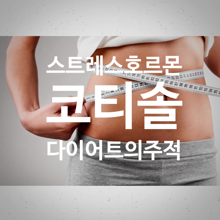  다이어트의 적! 코티솔을 건강하게 조절하는 방법#분당다이어트한의원