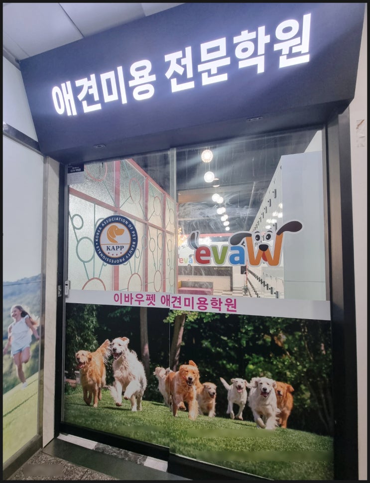  일산 애견미용학원 이라고 다 똑같은 교육과정이 아닙니다