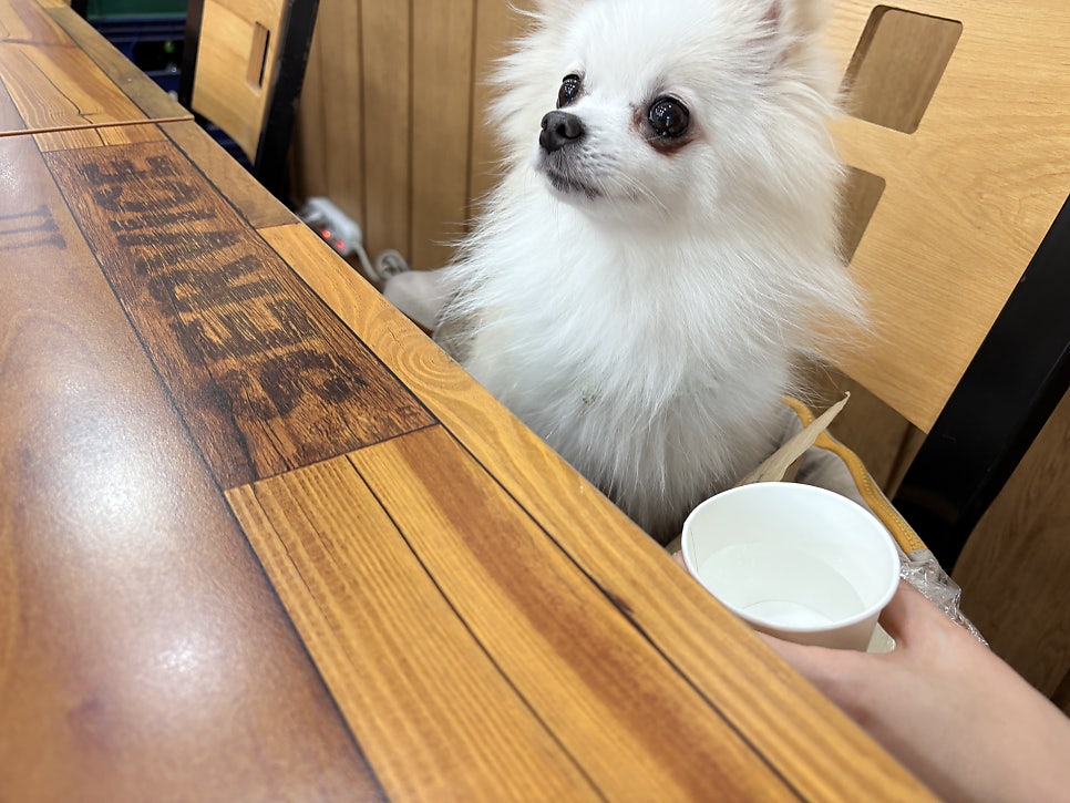 무진장숯불화로구이 사진 4