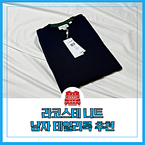 라코스테 니트 남성 실측 사이즈 심플한 디자인 데일리룩