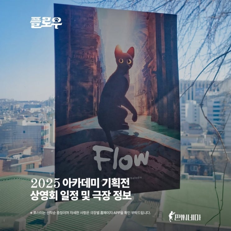  <플로우> 2025 아카데미 기획전 상영회 일정 및 극장 정보