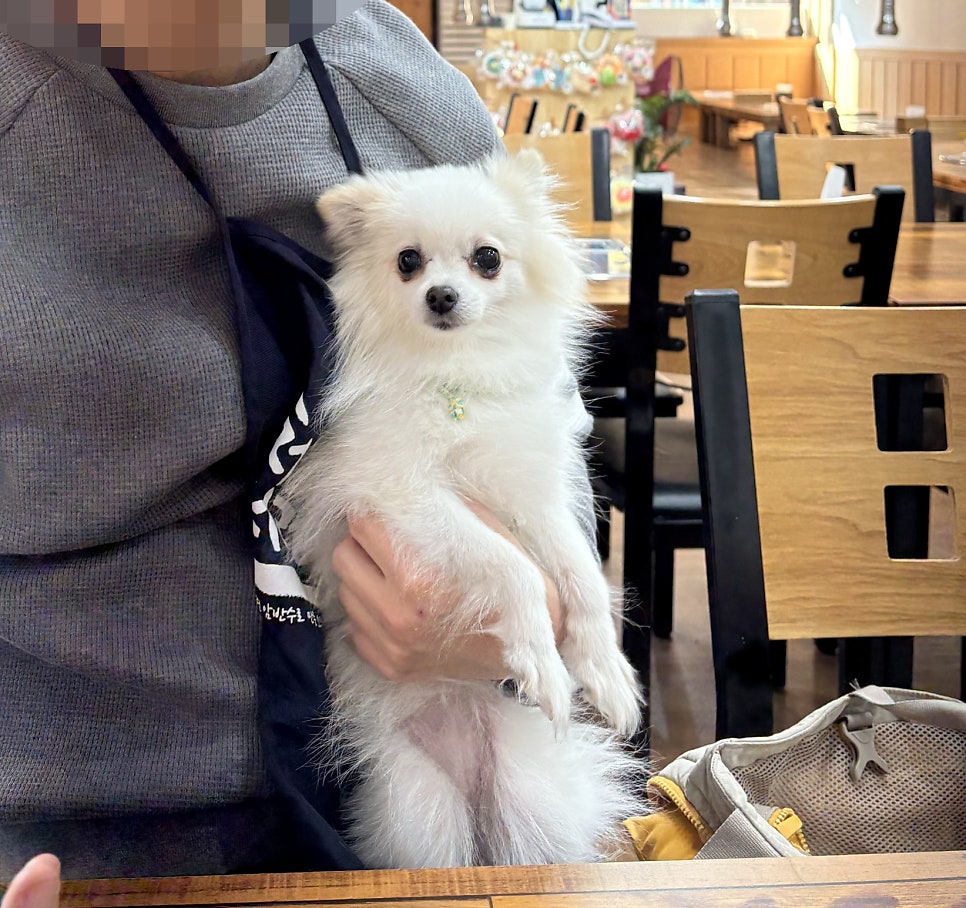 무진장숯불화로구이 사진 5