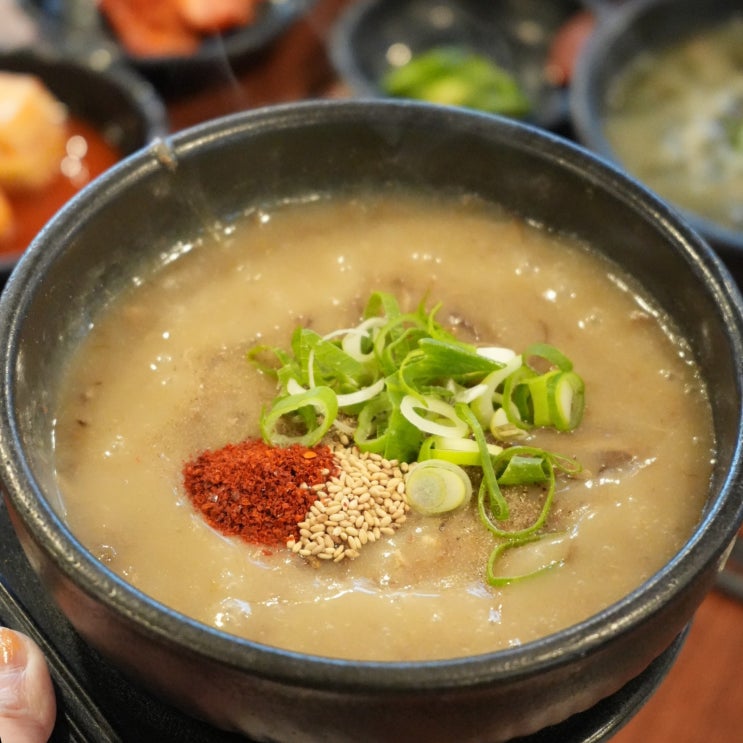  제주 한림 로컬 맛집 제주도 몸국 & 고사리해장국 채훈이네해장국