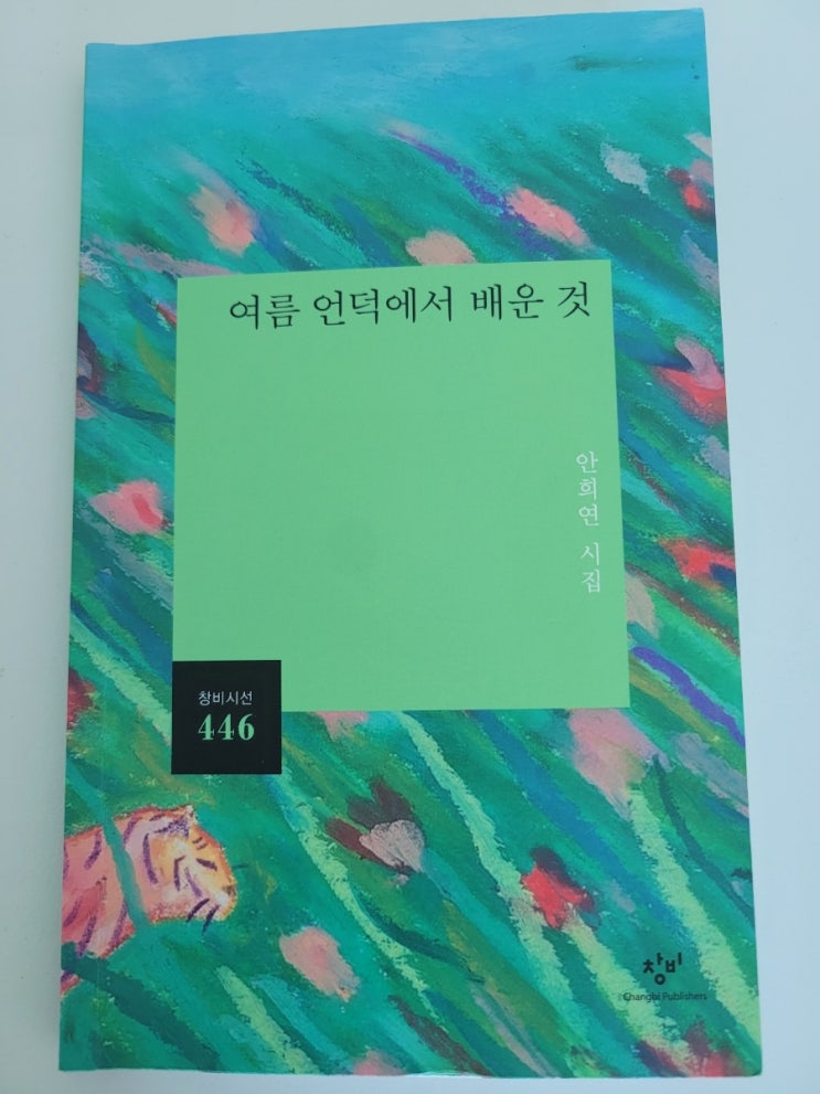  여름 언덕에서 배운 것 안희연 시집 -폭풍우 치는 밤에