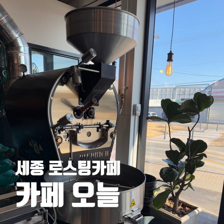 세종 조치원 로스팅 카페 오늘 상주강아지와 힐링