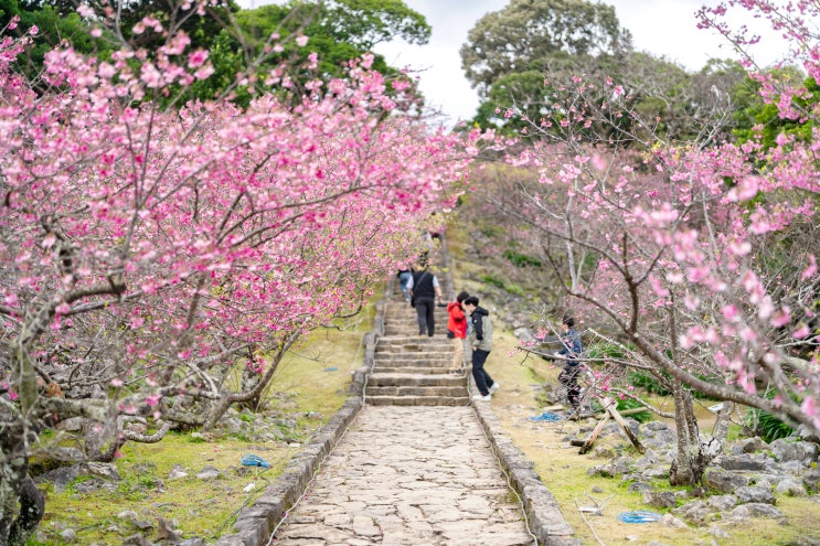  일본 오키나와 2월 날씨에 대해 알아봅시다. 골프는 최적기