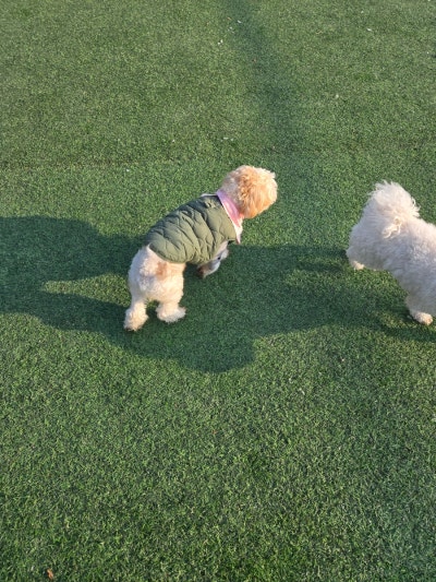 사진 5