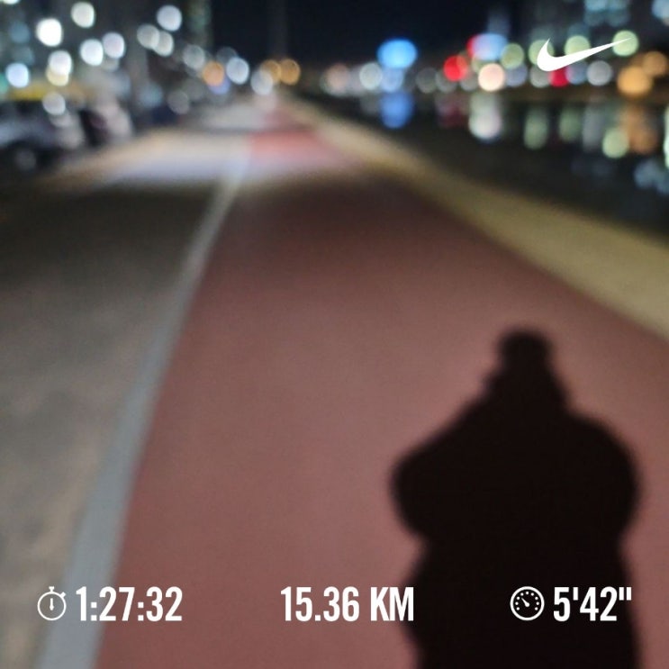 매일 10km 러닝 챌린지 1273일 차