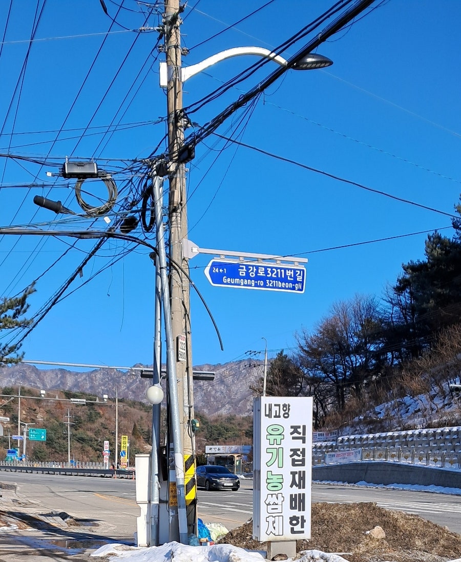 내고향쌈밥 사진 3